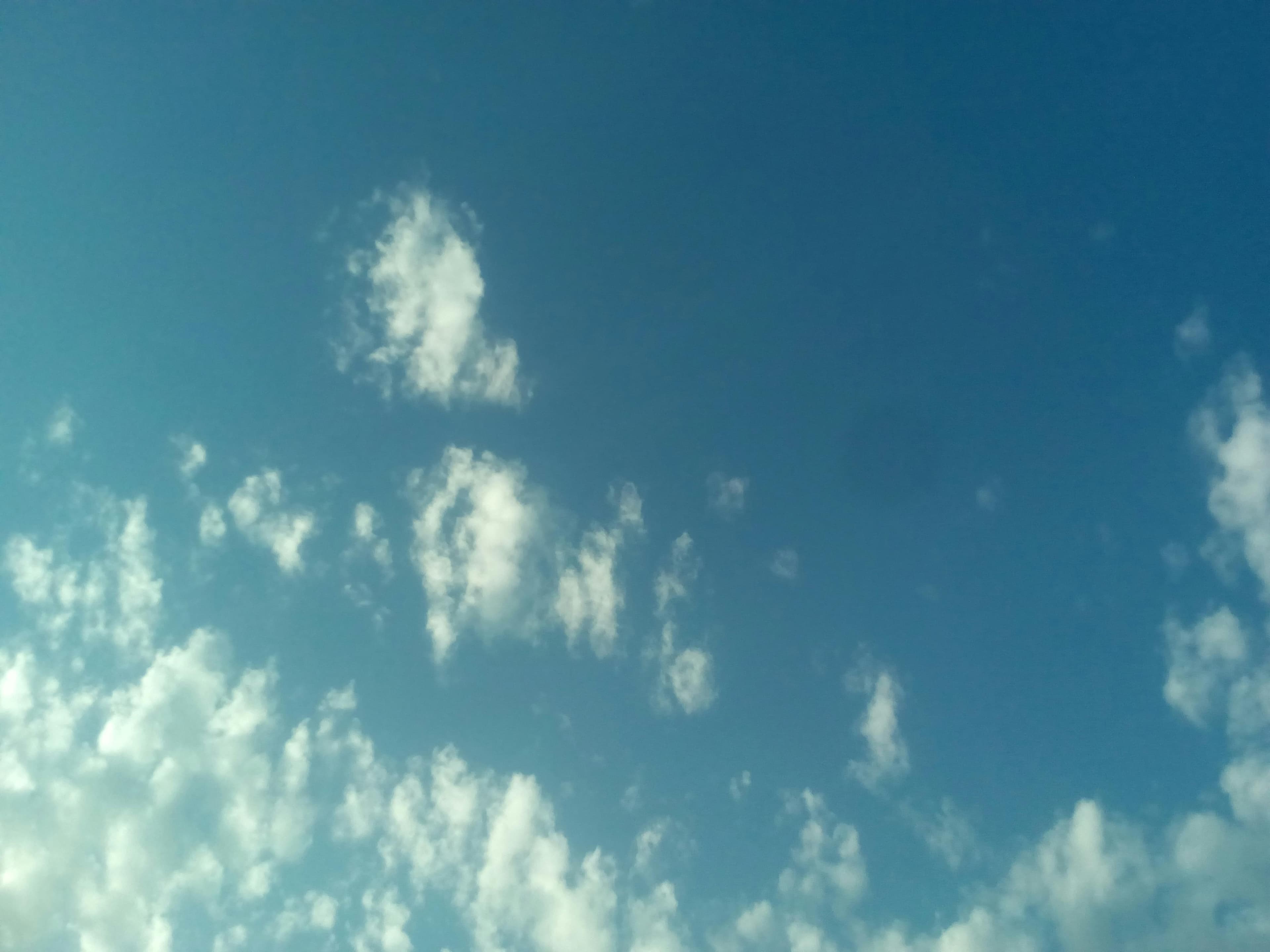 Anita & Rohit Kapoor